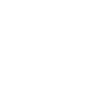 (c) Geco.gg